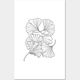 Ginkgo Leaves Posters and Art